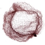 Сеточки для волос