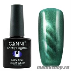 CANNI Cat Eye Color  Coat Магнитный гель лак №293
