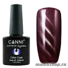 CANNI Cat Eye Color  Coat Магнитный гель лак №295