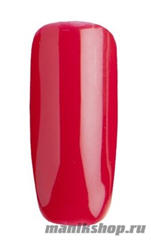 046 Гель лак Tertio 10мл Бордо, без блесток и перламутра, плотный