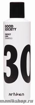 Artego Шампунь для кудрявых волос Good Society Perfect Curl 30 Shampoo 250мл