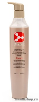 Molecule Professional Шампунь для волос "Фаза1" 280мл