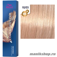 Koleston 10/03 пшеница - фото 111677