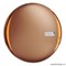 00568 02 Pupa Пудра для лица бронзирующая 4SAN с SPF15 №2 Золотая гармония (4 цвета загара) - фото 41546