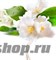 RuNail Масло для ногтей и кутикулы "ЖАСМИН" в карандаше - фото 47749