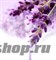 RuNail Масло для ногтей и кутикулы "ЛАВАНДА" в карандаше - фото 47754