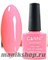 041 Canni Гель-лак Gel Color 7,3мл