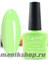 082 Canni Гель-лак Gel Color 7,3мл