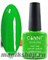 160 Canni Гель-лак Gel Color 7,3мл