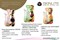 SkinLite Пенка для умывания «ПЕРСИК и ЕЖЕВИКА» Для всех типов кожи 50мл - фото 68486